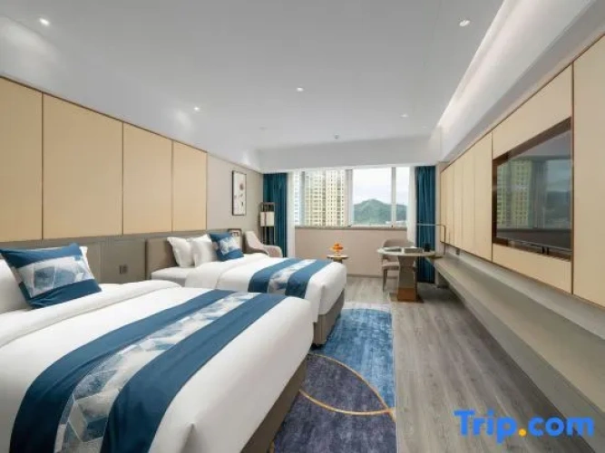 Superior Double room with street view