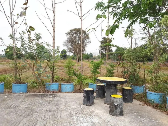 Aranya Resort