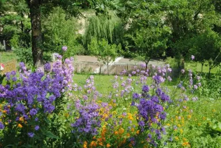 La Mouline