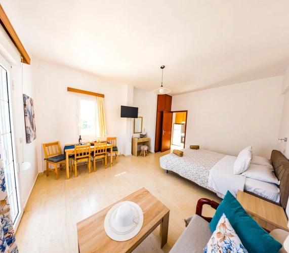 Standard Double room with garden view