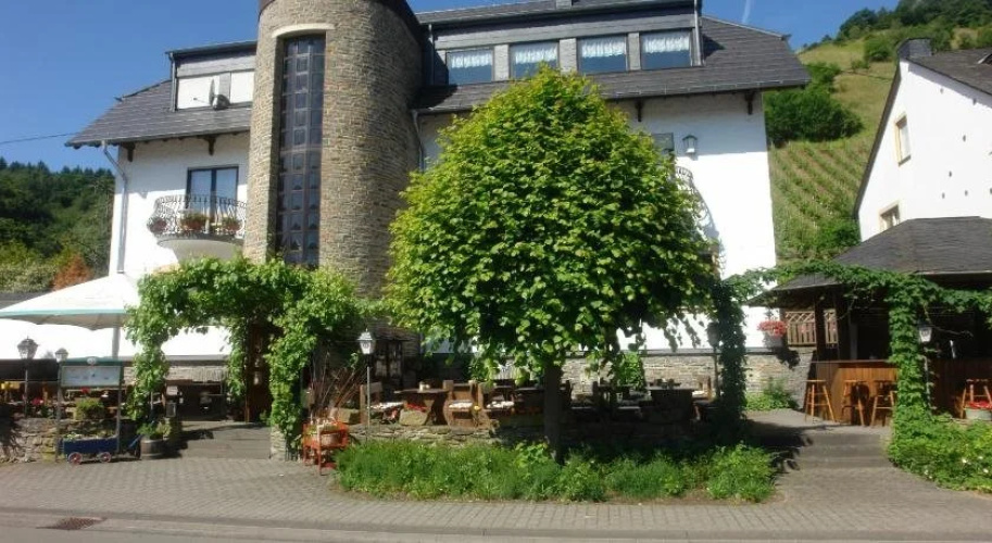 Schleicher Kuckuck