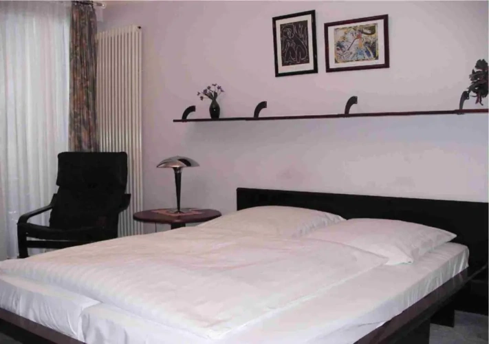 Standard Double room with balcony and with view