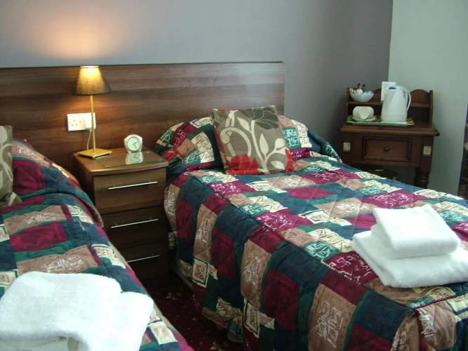 Standard Twin room