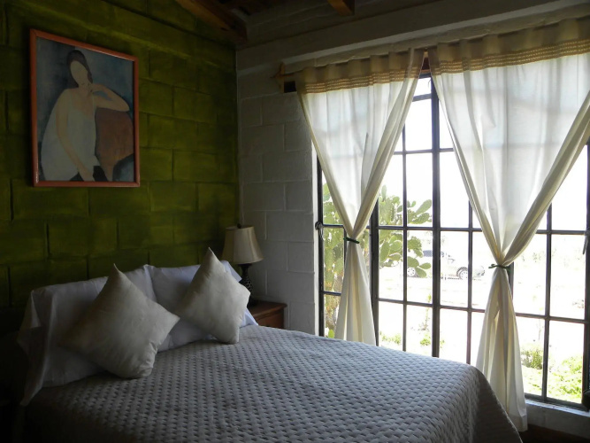 Casa Tulipan