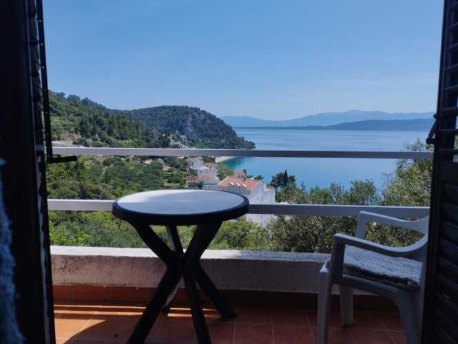 Borovik Guest House