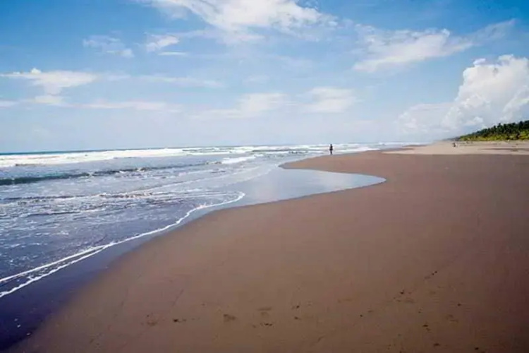 Colon Caribe