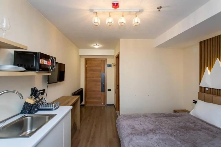 1 Bedroom Apartment