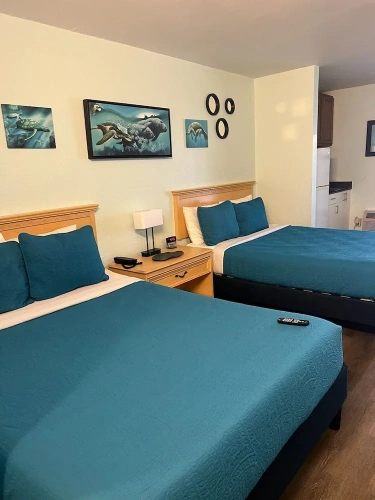 Standard Quadruple Suite with balcony and oceanfront