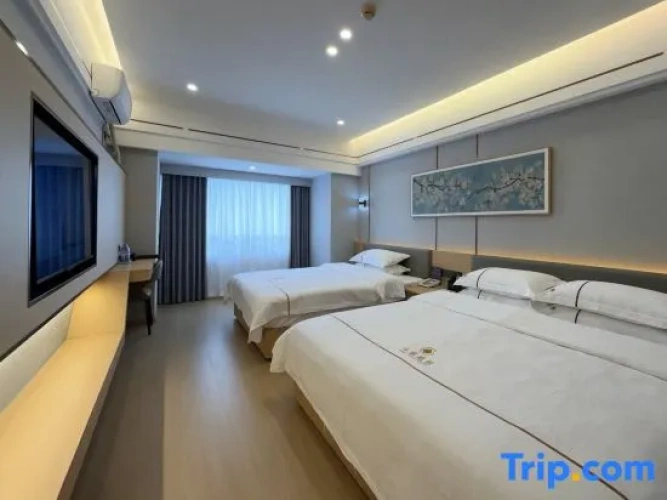 Triple Family Suite