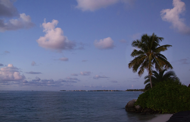 Pier House Resort & Caribbean Spa photo 30