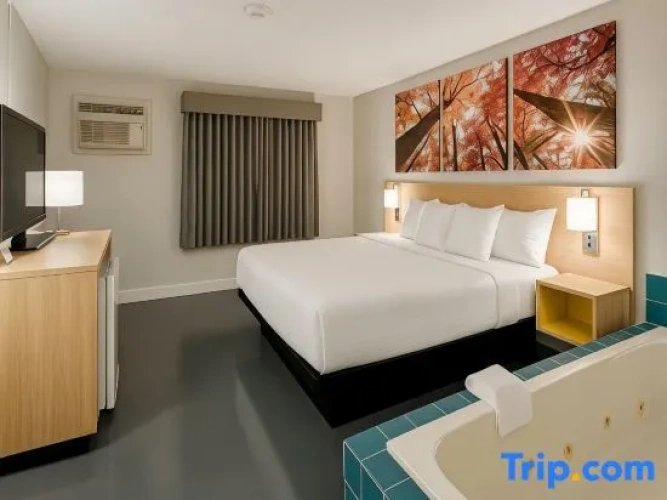 1 Bedroom Single Suite
