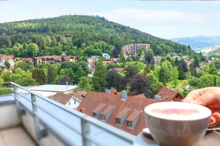 1 Bedroom Apartment with balcony
