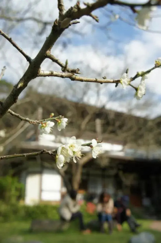 Old Five Guesthouse