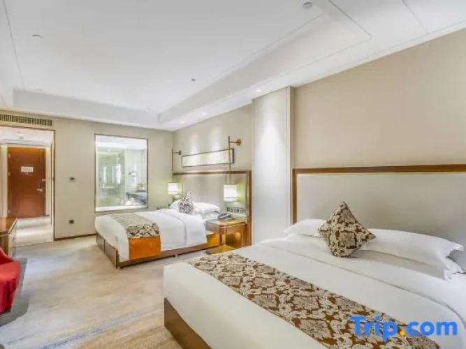 Executive Twin room