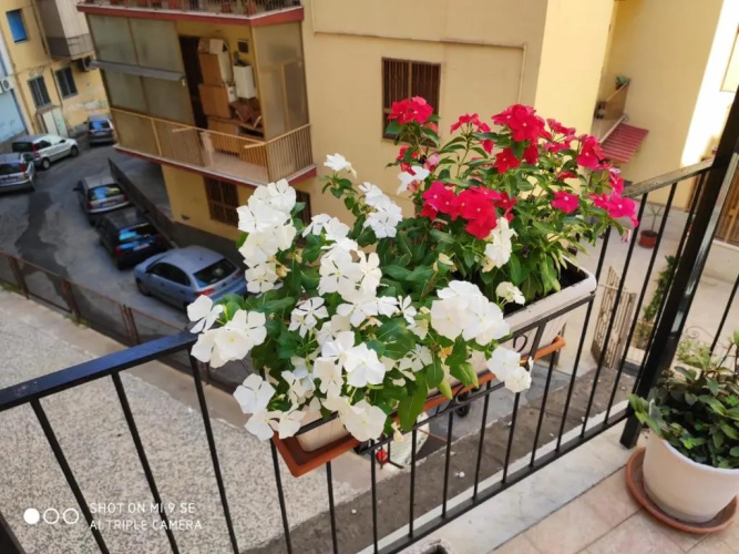 Casa Vanna