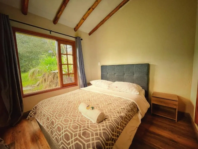Standard Double room with garden view