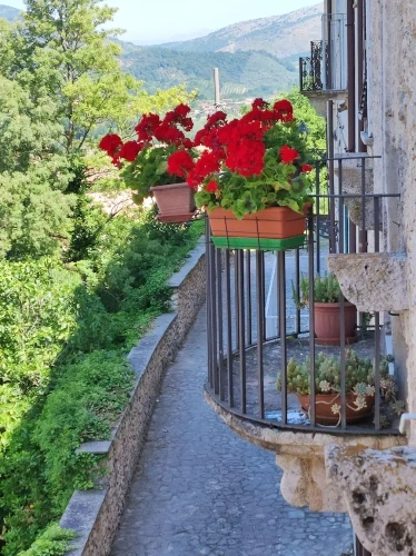 2 Bedrooms Deluxe Apartment with balcony and with land view