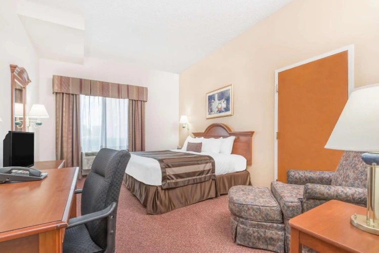 Standard Double room