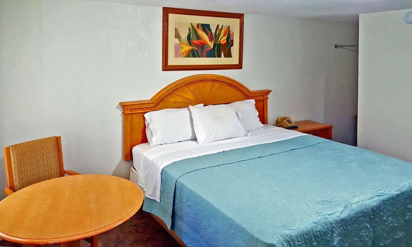 Blue Palm Inn
