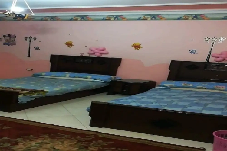 Executive Apartment