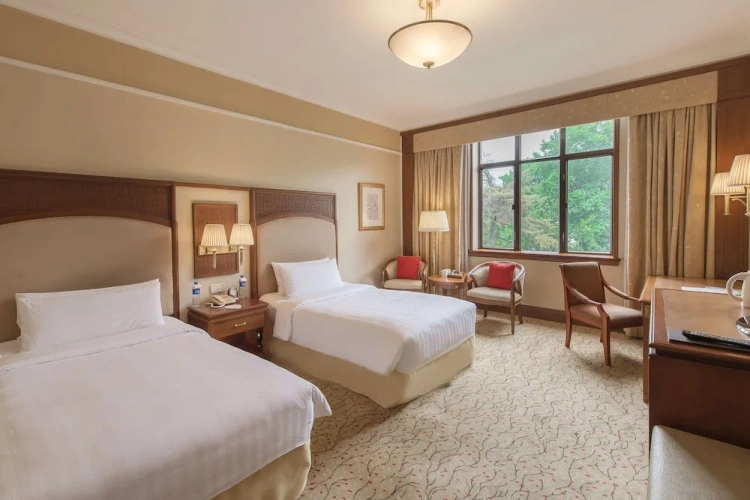 Hillview Horizon Twin room
