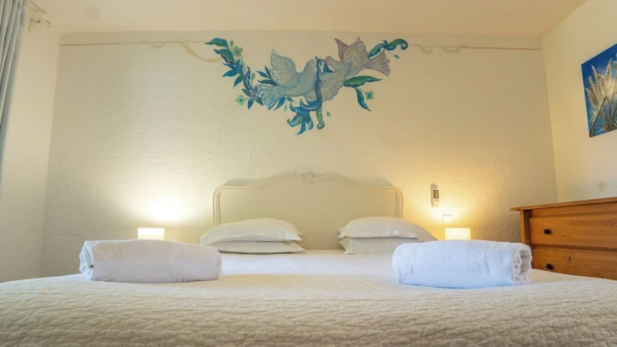 Standard Double room with garden view