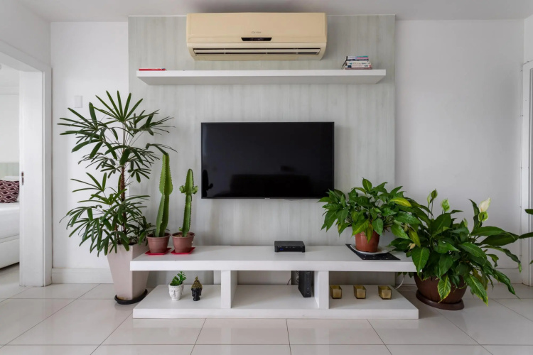 Pineapples LC2207 | Coverage in Barra da Tijuca