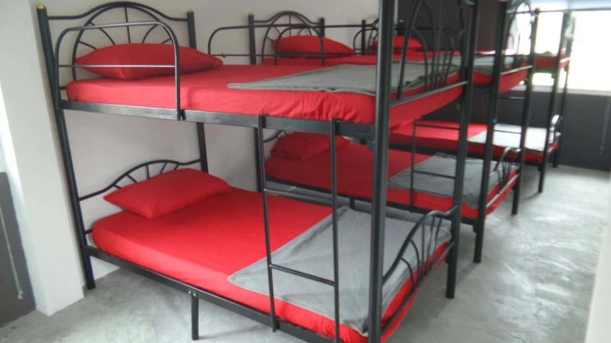 Bed in Dorm
