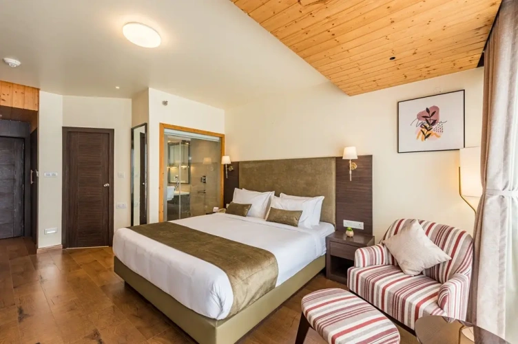 Premium room with balcony and with view