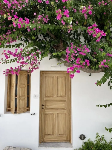1 Bedroom Apartment with balcony and with garden view