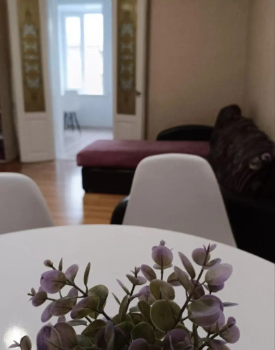 Фотография номера квартиры Апартаменты на Дзержинского 73