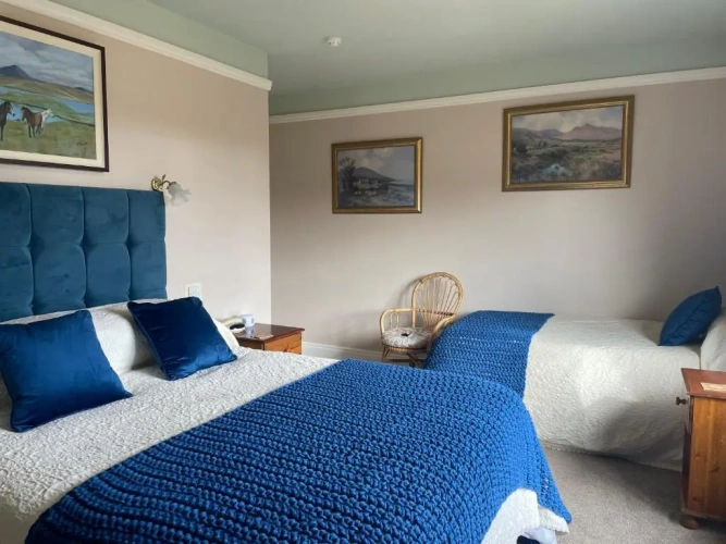 Standard Double room with view