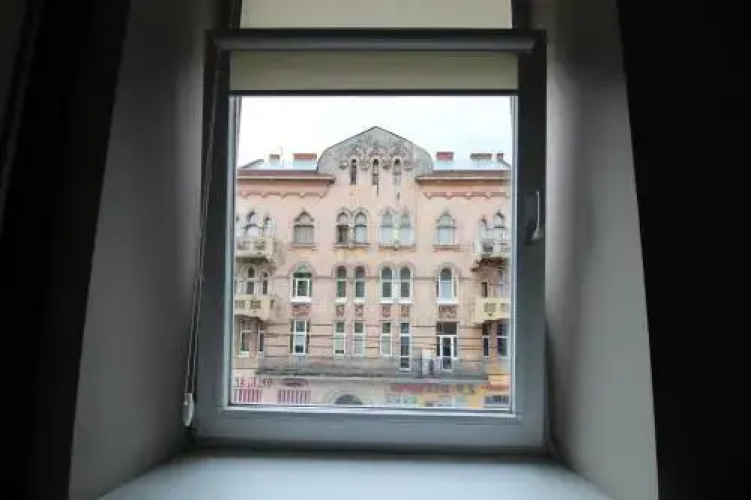 Cosy Apartment On Horodotska 86