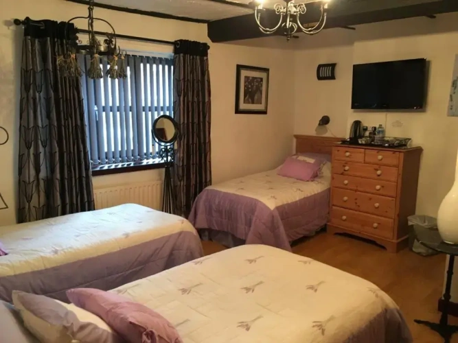 Deluxe Triple room
