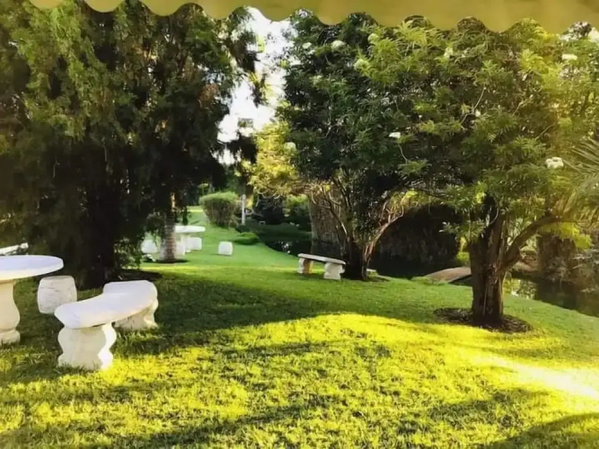 T3C Gardens