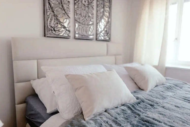 Luxury Apartments Zelny Trh