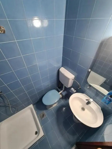 Accommodation Petrović
