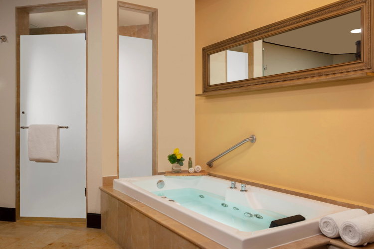 Dreams Riviera Cancun Resort and Spa photo 12