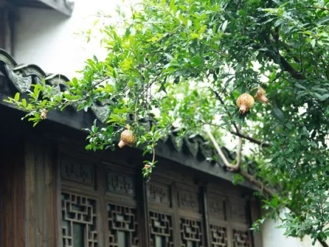 Xitang Hostel - Hangzhou