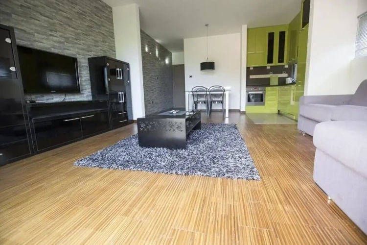 Classic Apartment