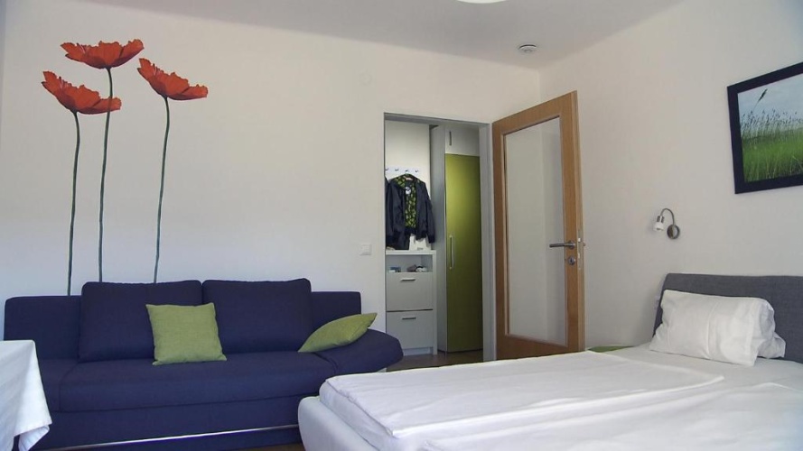 Standard Double room with lake view