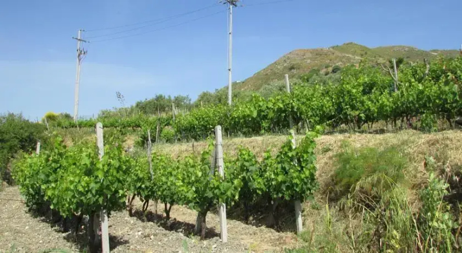 Casale Di Caterina