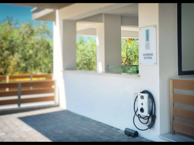 Olive Roots Luxury Suites