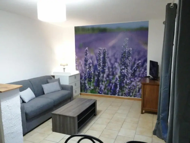 Basement Apartment