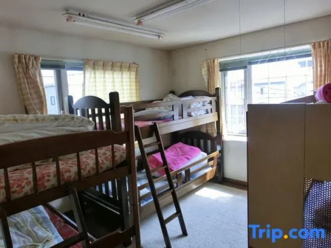 Bed in Dorm