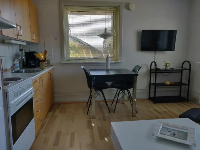 1 Bedroom Apartment with view