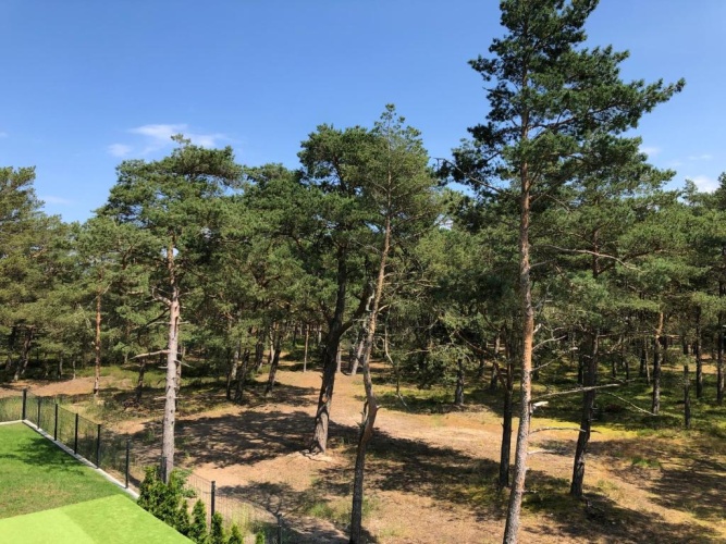1 Bedroom Double Apartment