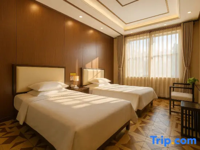 Deluxe Twin room with city view