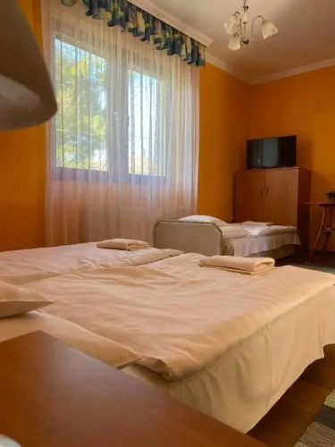 Standard Double room with garden view