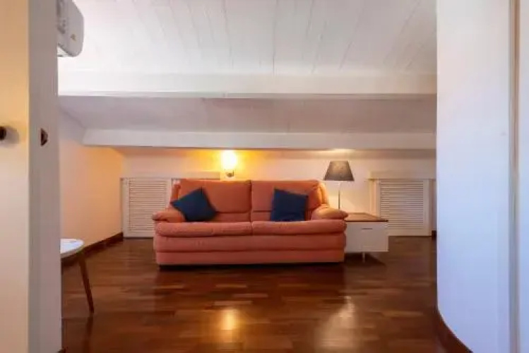 Ferret Apartment